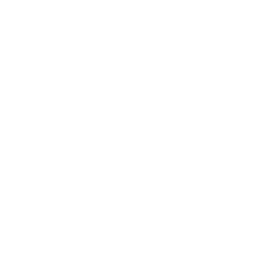 MEDIAVORE interactif IT Consultants